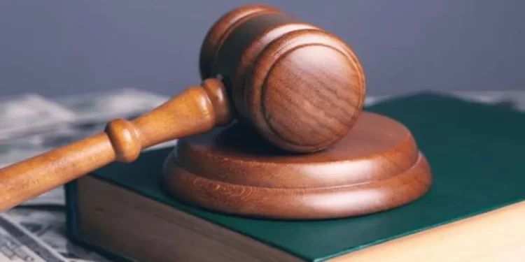 Despite The Father’s Request For Custody, The Child Welfare Committee Placed The Child Up For Adoption, According To The HC