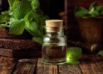 10 Advantages Of Using Peppermint Oil In Aromatherapy: Unlocking The Power Of Peppermint