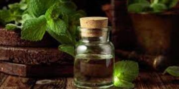 10 Advantages Of Using Peppermint Oil In Aromatherapy: Unlocking The Power Of Peppermint