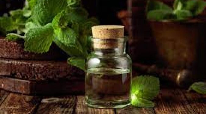 10 Advantages Of Using Peppermint Oil In Aromatherapy: Unlocking The Power Of Peppermint