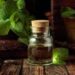 10 Advantages Of Using Peppermint Oil In Aromatherapy: Unlocking The Power Of Peppermint