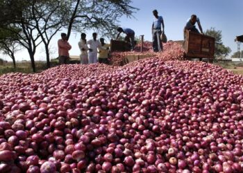 Maharashtra: A Speeding Car Collided With An Electric Pole In Mumbai, Car Broke Into Two Pieces