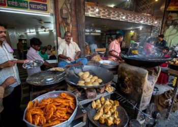 An Exploration Into Indian Street Cuisine Culture