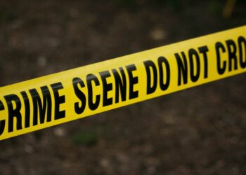 Maharashtra Politics: Dilip Walse-Patil Apologizes After Controversy Over His Remarks On Sharad Pawar