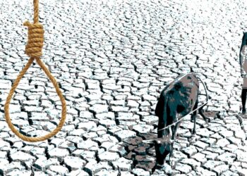 Maharashtra: Farmers’ Suicide Cases Are Not Stopping, 73 Gave Their Lives In Chandrapur In 7 Months