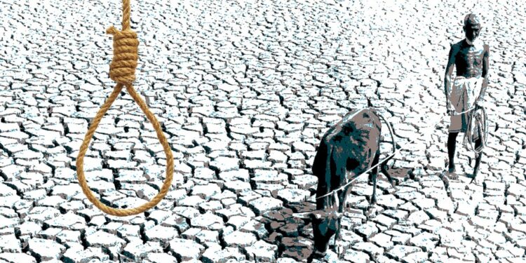 Maharashtra: Farmers’ Suicide Cases Are Not Stopping, 73 Gave Their Lives In Chandrapur In 7 Months