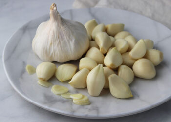 Garlic