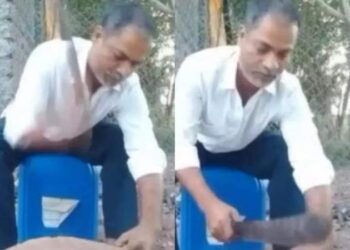 Maharashtra: CBI Arrested ‘CGST Superintendent’ Taking Bribe In Case Related To Chinese Company