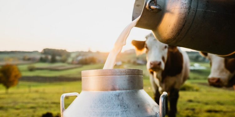 Maharashtra Politics: Dilip Walse-Patil Apologizes After Controversy Over His Remarks On Sharad Pawar