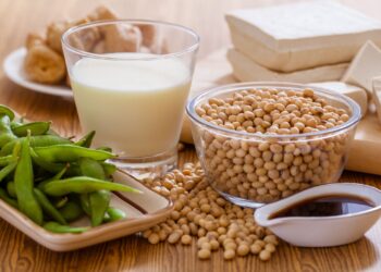 Understanding Potential Negative Effects Of Soybeans