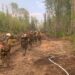 As A Wildfire Approaches The Capital Of Canada’s Northwest Territories, Residents Leave