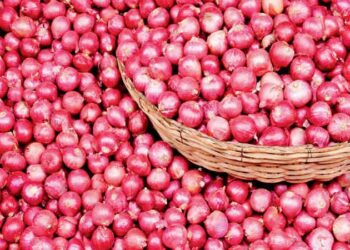 Farmers In Maharashtra Demonstrate At Wholesale Markets Against Imposition Of 40% Duty On Exports Of Onions