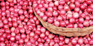 Farmers In Maharashtra Demonstrate At Wholesale Markets Against Imposition Of 40% Duty On Exports Of Onions