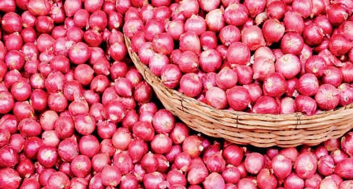 Farmers In Maharashtra Demonstrate At Wholesale Markets Against Imposition Of 40% Duty On Exports Of Onions