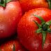 NCCF Sells 560 Tons In 15 Days Whereas ONDC Sells 10,000 Kg Of Tomatoes In A Week