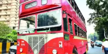 Bus