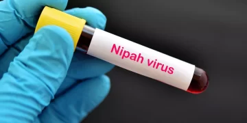 All You Need To Know In 10 Points: Nipah Virus Alert: No New Infection; Local Fruit Sale Suffers Setback