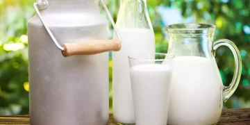 Milk