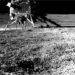 Pragyan Rover Of Chandrayaan-3 Enters Sleep Mode Following Successful Lunar Mission