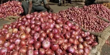 Onion