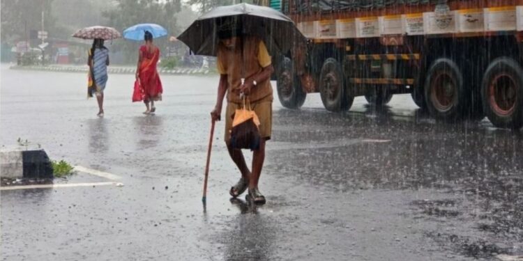 Maharashtra: Heavy Rain For 1 Month, Yellow-orange Alert? Know IMD Report