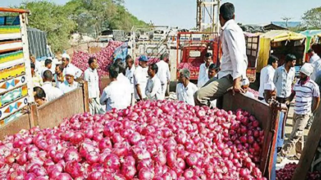 Onion