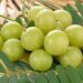 Amla