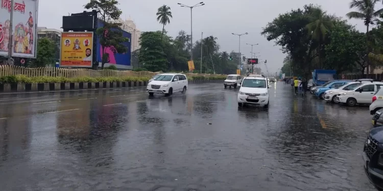Rain