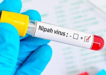 Nipah