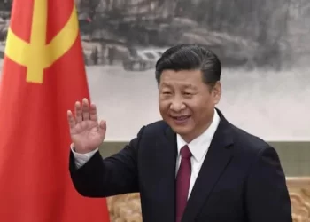 G20