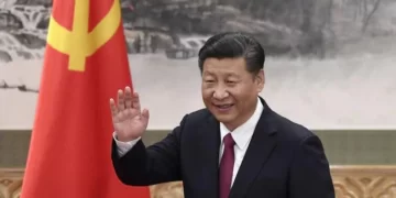 G20