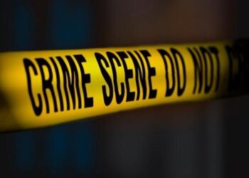 In Gadchiroli, Maharashtra, Two Women Plan To Murder Five Family Members