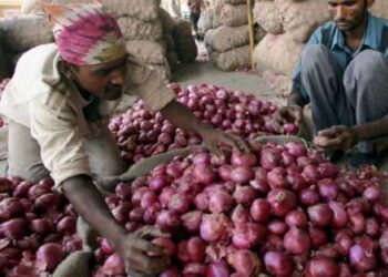 The Government Announces A $80-per-metric-tonne Minimum Export Price For Onions
