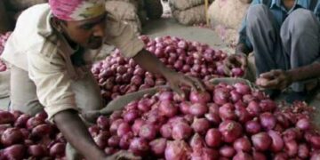 The Government Announces A $80-per-metric-tonne Minimum Export Price For Onions