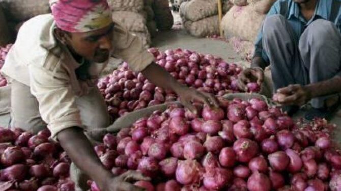 The Government Announces A $80-per-metric-tonne Minimum Export Price For Onions