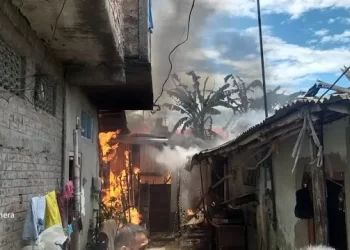Dibrugarh, Assam: Seven Buildings Are Destroyed By Fire