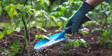 Fertilizer