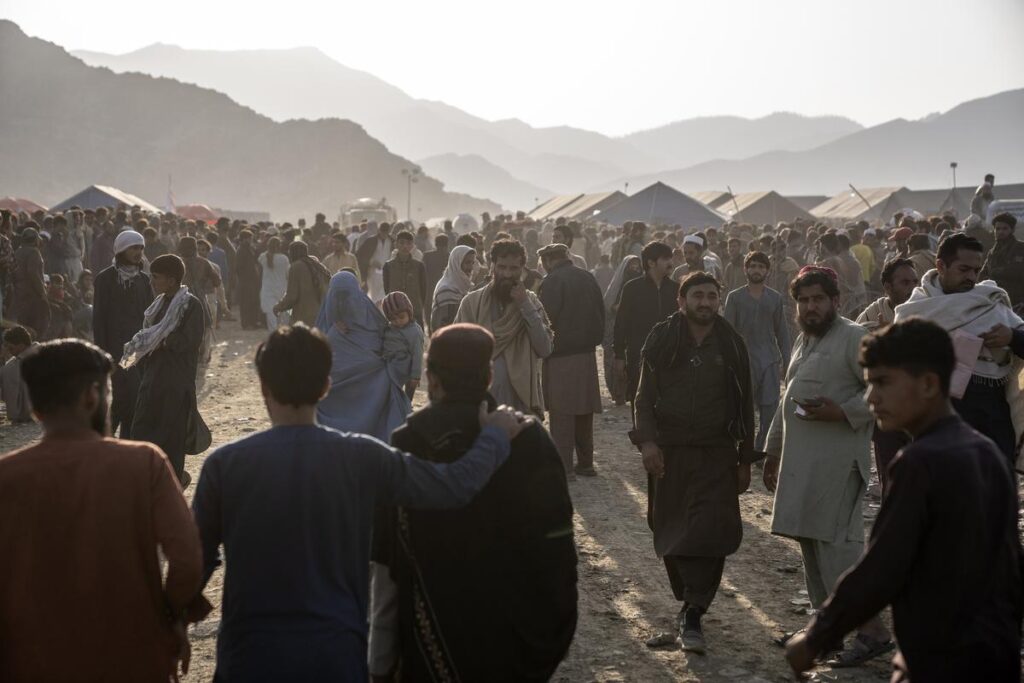 Afghan