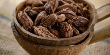 Cardamom
