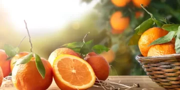 Orange