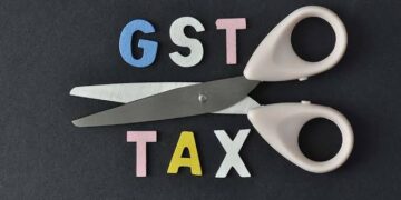 Parliamentary panel advises insurance GST reduction