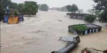 In a first, AI-powered app launched in Assam to combat floods