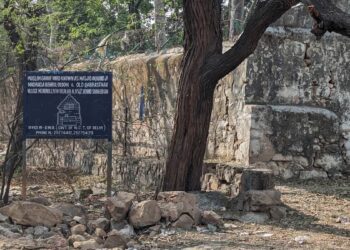 DDA-demolished 600-year-old mosque’s Shab e-barat celebration denied by Delhi High Court