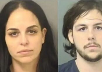 Little boys sexually assaulted, live-streamed to paedophiles for money; Florida lady, son, and boyfriend accused of gruesome torture