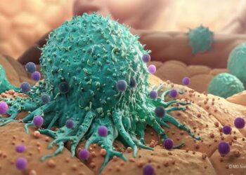 Generation X has a higher cancer risk than their baby boomer parents.