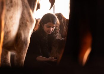 “From PCOS to Protein Powerhouse: How One Woman’s Health Journey Birthed Jogurt, India’s Clean-Label Greek Yogurt Revolution”