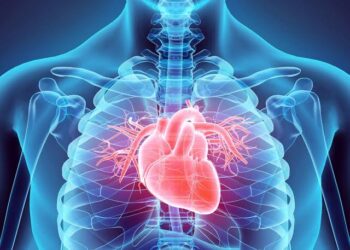 Cellular Memory in Heart Transplants: Exploring the Impact on Identity and Consciousness