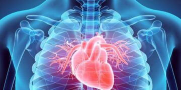 Cellular Memory in Heart Transplants: Exploring the Impact on Identity and Consciousness