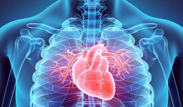 Cellular Memory in Heart Transplants: Exploring the Impact on Identity and Consciousness
