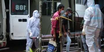 After a Nipah virus-infected Kerala youngster died, the centre recommends four urgent actions